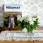 Meie Hiiumaa Majutus Kaerdlas Appartement *