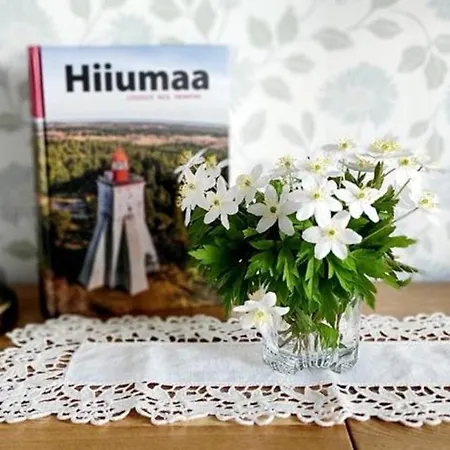 Meie Hiiumaa Majutus Kaerdlas Lägenhet *